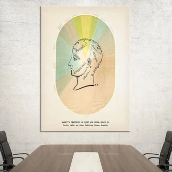 Antīko krāsu teorija diagramma • Phrenology galvas portrets • Dr. Babbitt krāsu terapija plakāts • Dīvaini, mīksto un Viktorijas laikmeta atmosfēru
