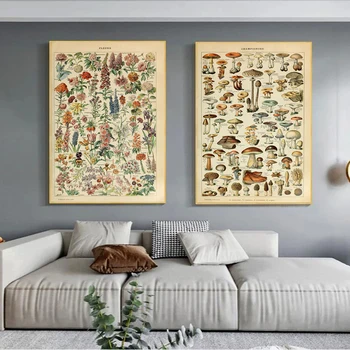 Vintage Augu Augļu Sēņu Audekla Gleznas Botānikas Plakātu un Izdrukāt Sienas Mākslas Ainu, Dzīvojamās Istabas Sienas Dekors Cuadros